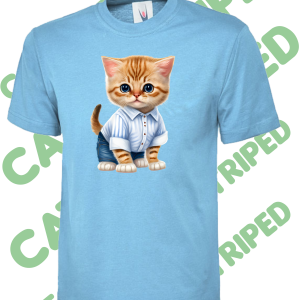 Kitten in striped shirt-T Shirt – Various colours