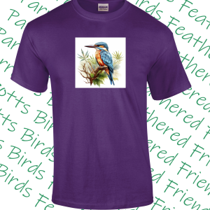 Kingfisher-T Shirt – Various colours