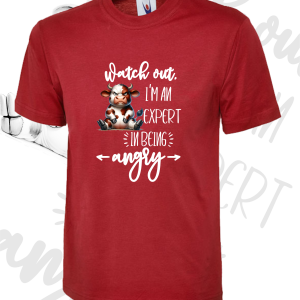 Watch out, I'm an expert -T Shirt - Various colours